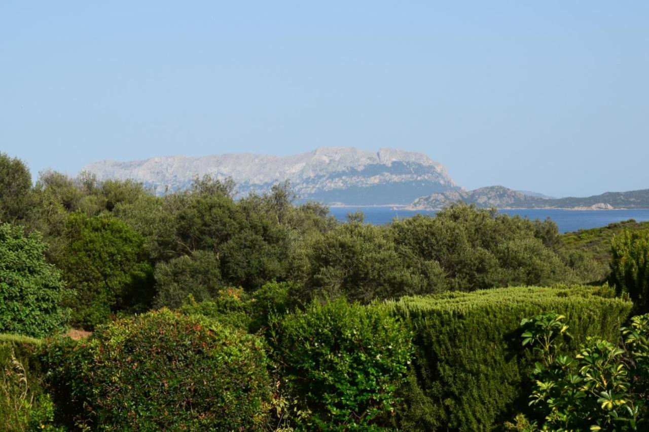 Sa Domitta Di Suiles Leilighet Olbia Eksteriør bilde